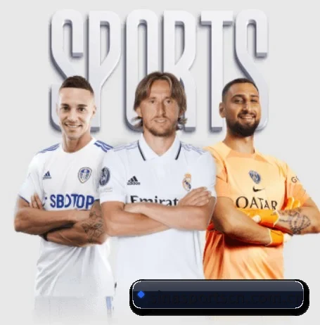 新浪体育 APP(Sina Sports)